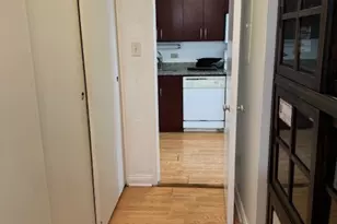601 E 32nd St, Chicago, IL 60616 - Photo 10