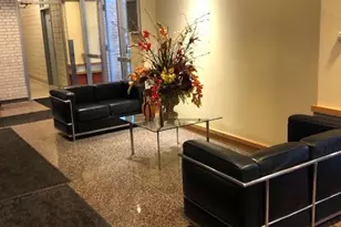 601 E 32nd St, Chicago, IL 60616 - Photo 26