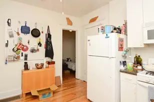 1027 N Honore St, Chicago, IL 60622 - Photo 4
