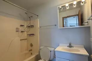 4312 W Shamrock Ln, McHenry, IL 60050 - Photo 8