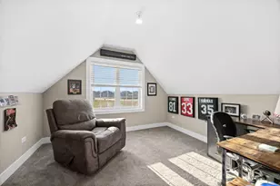 24234 S Sunset Lakes Dr, Manhattan, IL 60442 - Photo 30