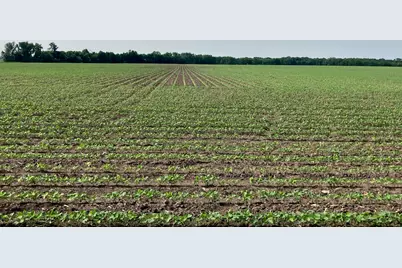 00 Center Road, Rochelle, IL 61068 - Photo 20