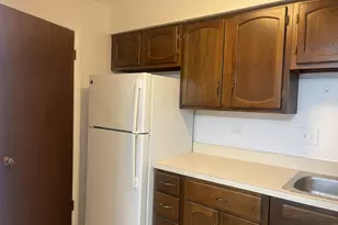 703 W Central Rd, Mount Prospect, IL 60056 - Photo 10
