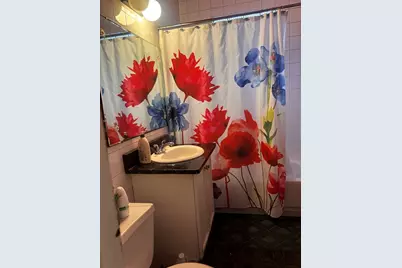 3314 W 66th Street, Chicago, IL 60629 - Photo 10