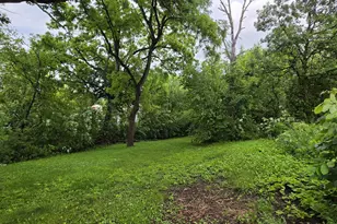 43 S Cedar St, Palatine, IL 60067 - Photo 40