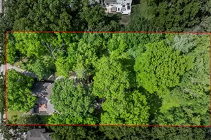 43 S Cedar St, Palatine, IL 60067 - Photo 44