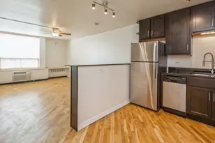 1455 N Sandburg Terrace, Chicago, IL 60610 - Photo 6