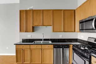 1464 S Michigan Ave, Chicago, IL 60605 - Photo 12