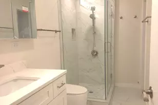 607 N Wells St, Chicago, IL 60654 - Photo 14