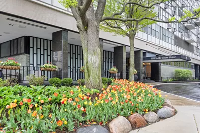 1000 N Lake Shore Drive #808, Chicago, IL 60611 - Photo 2