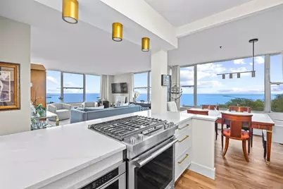 1000 N Lake Shore Drive #808, Chicago, IL 60611 - Photo 4
