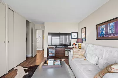 1000 N Lake Shore Drive #808, Chicago, IL 60611 - Photo 16