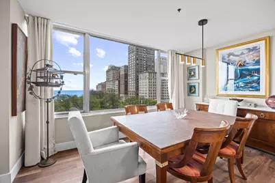 1000 N Lake Shore Drive #808, Chicago, IL 60611 - Photo 10