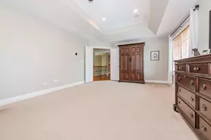 21416 S Majestic Pine St, Shorewood, IL 60404 - Photo 48