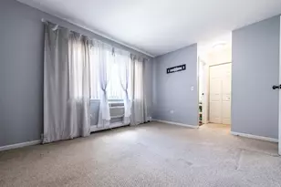 8641 5 W Foster Ave, Chicago, IL 60656 - Photo 16