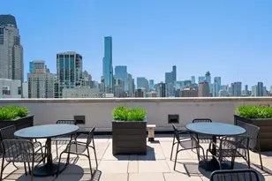 1122 N Dearborn St, Chicago, IL 60610 - Photo 18