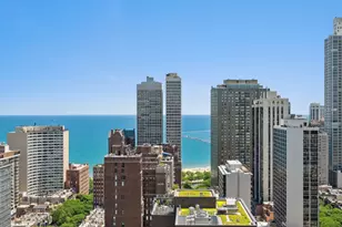 1122 N Dearborn St, Chicago, IL 60610 - Photo 22