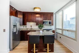 33 W Ontario St, Chicago, IL 60654 - Photo 10