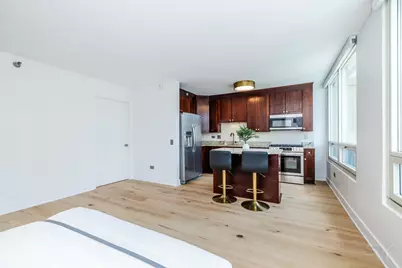 33 W Ontario Street #31D, Chicago, IL 60654 - Photo 22