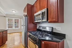 219 N Oak Park Ave, Oak Park, IL 60302 - Photo 10