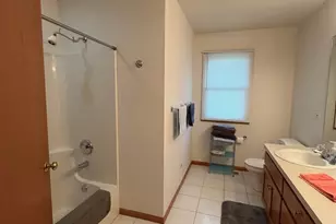 26033 W Lauren Dr, Channahon, IL 60410 - Photo 22