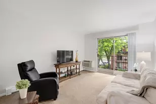 1001 N Mill St, Naperville, IL 60563 - Photo 8