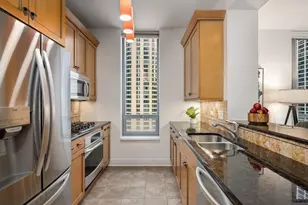 600 N Lake Shore Dr, Chicago, IL 60611 - Photo 12