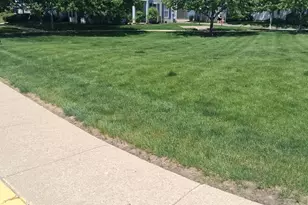 1015 Symphony Dr, Aurora, IL 60504 - Photo 2