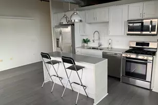 50 E 16th St, Chicago, IL 60616 - Photo 4