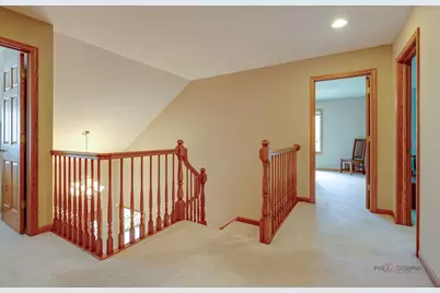 41 Park View Lane, Hawthorn Woods, IL 60047 - Photo 18