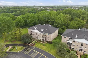 462 S President St, Carol Stream, IL 60188 - Photo 38