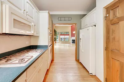 21714 Cappel Lane, Frankfort, IL 60423 - Photo 10