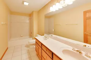21714 Cappel Ln, Frankfort, IL 60423 - Photo 38