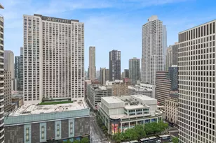 550 N St Clair St, Chicago, IL 60611 - Photo 14