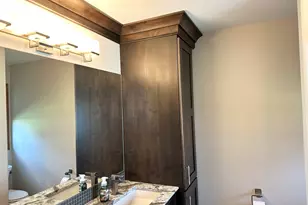 1602 Sun Ridge Dr, Bourbonnais, IL 60914 - Photo 20
