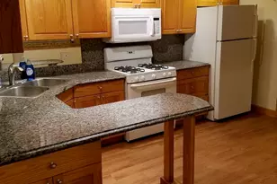3044 W North Ave, Chicago, IL 60647 - Photo 2