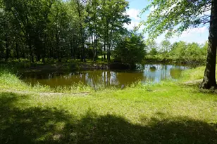 16405 E 3500N Rd, Momence, IL 60954 - Photo 4