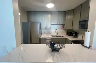 480 N McClurg Ct, Chicago, IL 60611 - Photo 2