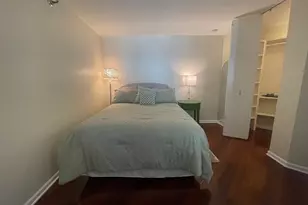480 N McClurg Ct, Chicago, IL 60611 - Photo 10