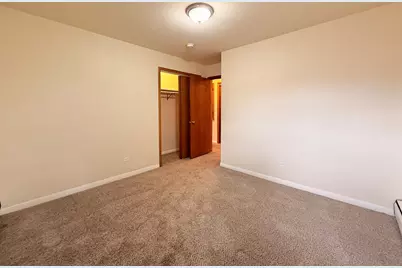 1428 E Lyn Court, Homewood, IL 60430 - Photo 18