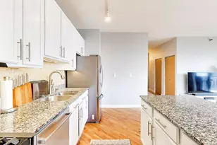 41 E 8th St, Chicago, IL 60605 - Photo 14