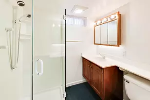 1010 Lyford Ln, Wheaton, IL 60189 - Photo 24
