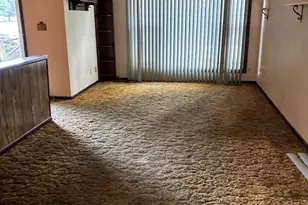 301 S 2nd St, Walnut, IL 61376 - Photo 6