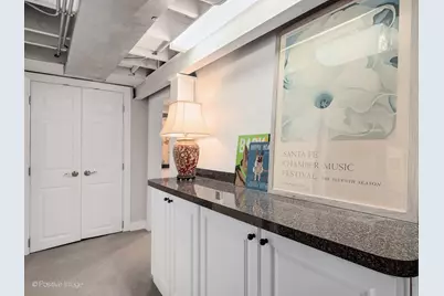 541 E Hickory Street, Hinsdale, IL 60521 - Photo 28