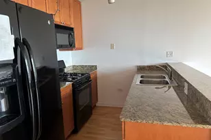 1550 S Blue Island Ave, Chicago, IL 60608 - Photo 8