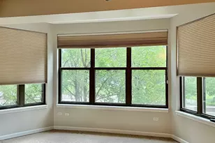 1250 S Indiana Ave, Chicago, IL 60605 - Photo 18