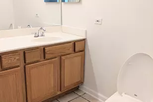 807 W 14th Pl, Chicago, IL 60608 - Photo 16