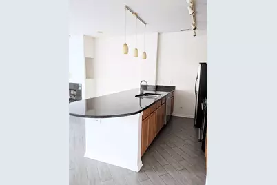 807 W 14th Place #1B, Chicago, IL 60608 - Photo 6