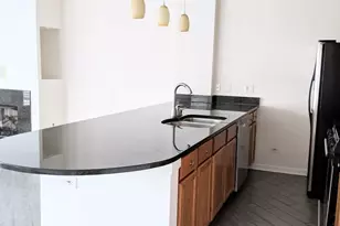 807 W 14th Pl, Chicago, IL 60608 - Photo 6