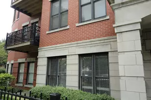 807 W 14th Pl, Chicago, IL 60608 - Photo 1